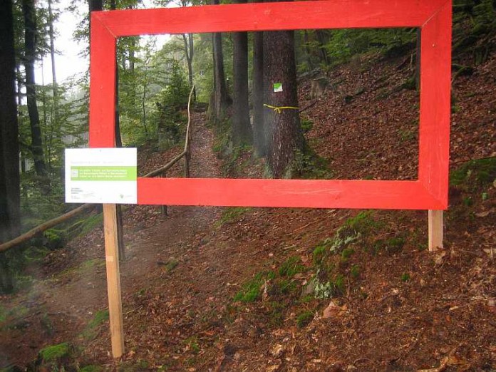 Waldbild "Erholungsraum Wald"